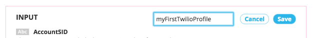 Saving Choreo inputs into a Profile to use later